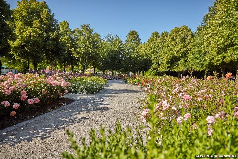 Gemeinde Bad_Füssing Landkreis Passau Kurpark (Dirschl Johann) Deutschland PA